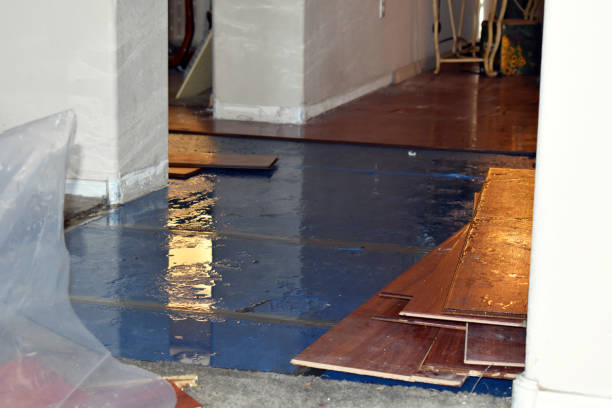 Professional Basement Flood Cleanup technician working in Allegan, MI